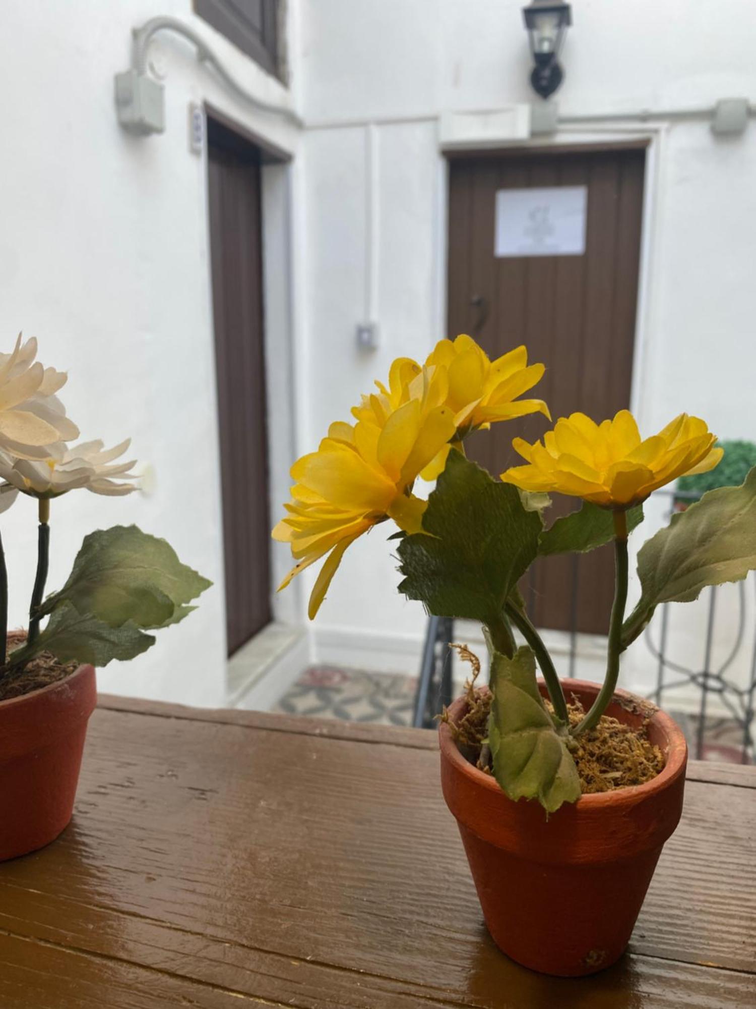 Florhouse Pacini Appartement Catánia Buitenkant foto